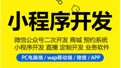 制作小程序，不知道小程序分类，小程序制作很难